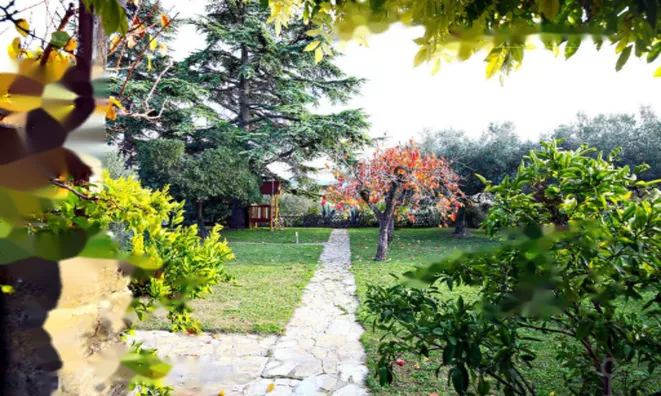 Недвижимость Дом в Портороже: 14