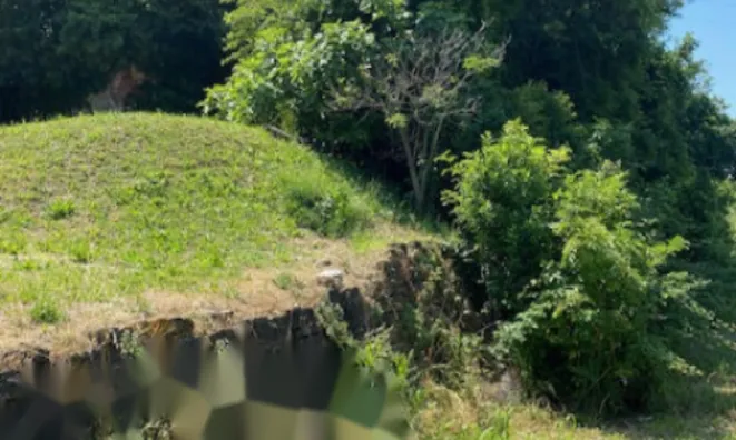 Недвижимость Дом, Луция: 7