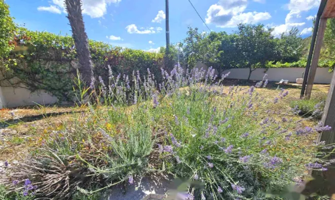 Недвижимость Дом, Малья.: 8