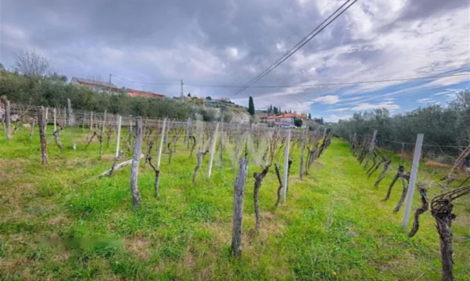 Недвижимость Дом, Парецаг: 9