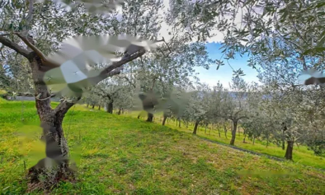 Недвижимость Дом, Парецаг: 12