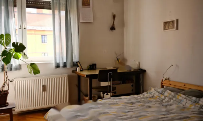 Недвижимость Трехкомнатная Квартира в Центре: 15