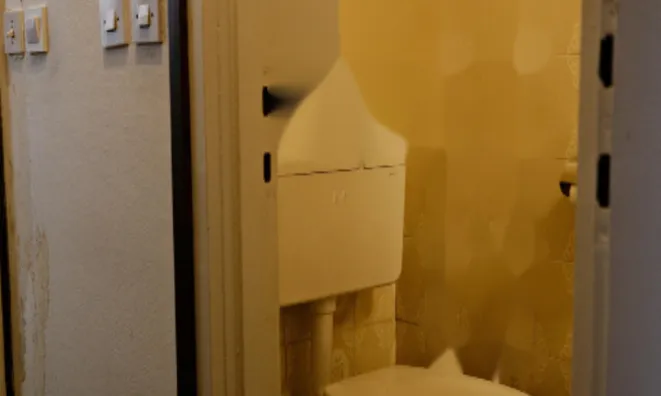 Недвижимость Трехкомнатная Квартира в Центре: 20