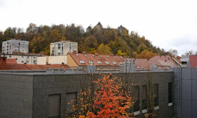 Недвижимость Трехкомнатная Квартира в Центре: 23