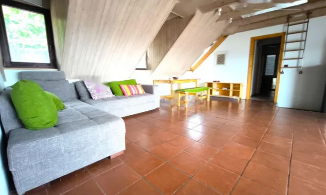 Недвижимость Квартира, 5+ комнат, Центр: 1