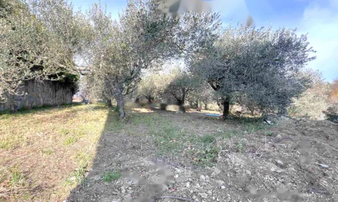 Недвижимость Двухэтажный дом Бошамарин: 18