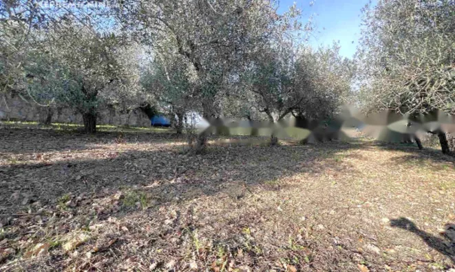 Недвижимость Двухэтажный дом Бошамарин: 19