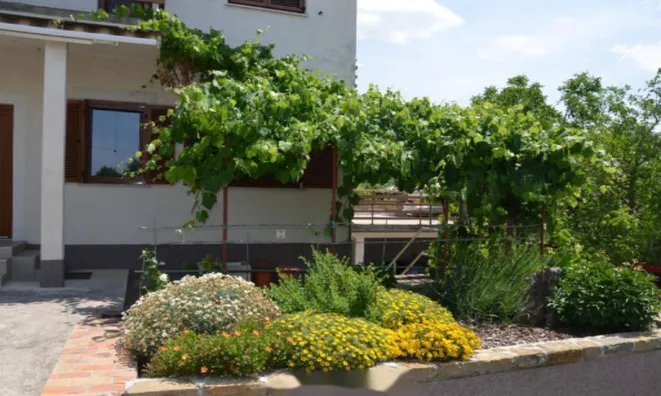 Недвижимость Дом, Побеги: 3