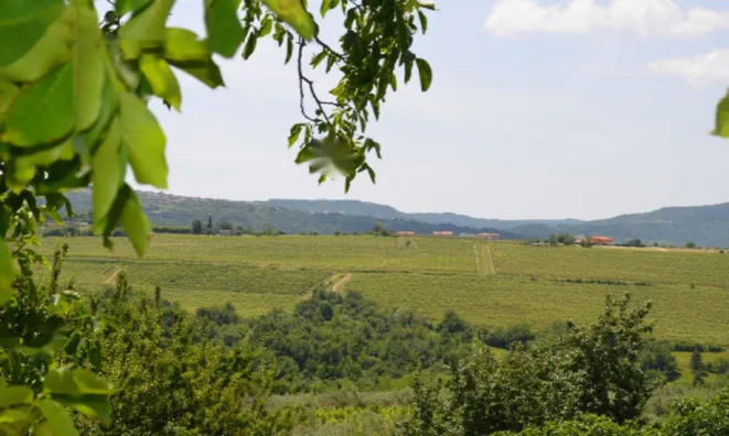 Недвижимость Дом, Побеги: 19