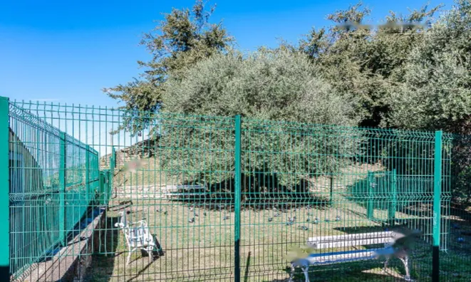 Недвижимость Квартира, 3-комнатная, Пиран: 2