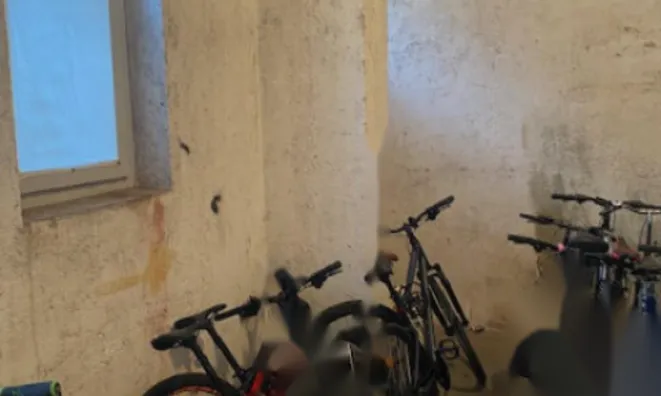 Недвижимость Трёхкомнатная квартира в Изоле: 2