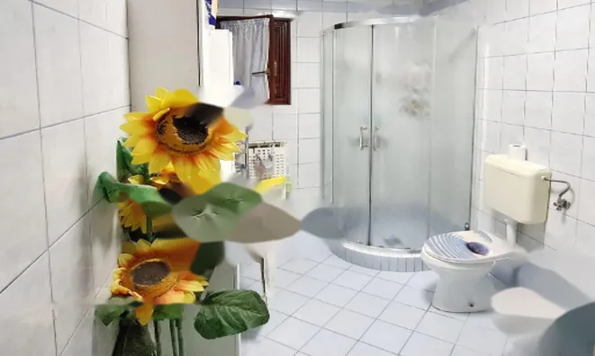 Недвижимость Квартира 4-комнатная Шкофие: 6