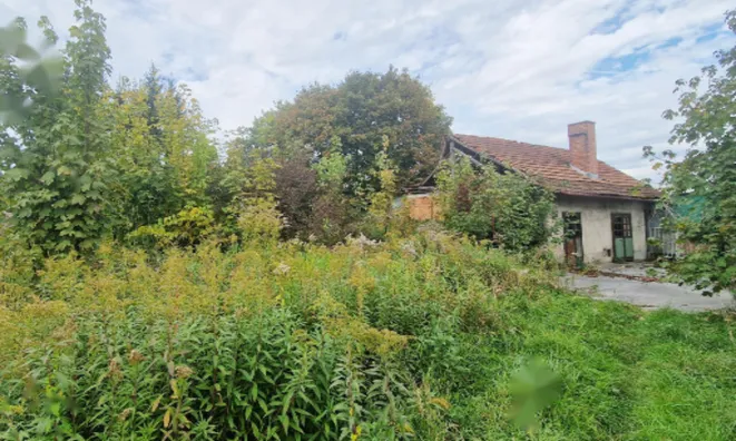 Недвижимость Участок, пригодный для застройки в Шентвиде.: 4