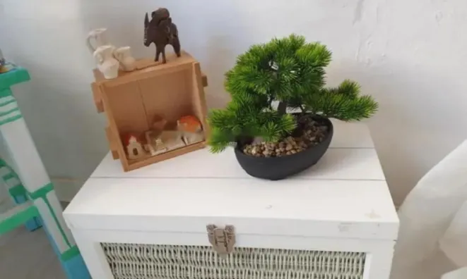 Недвижимость Дом с террасой Новый Пиран: 5