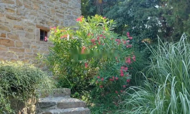 Недвижимость Дом, Пиран.: 14