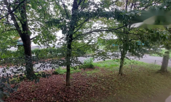 Недвижимость Трёхкомнатная квартира Вевче: 17