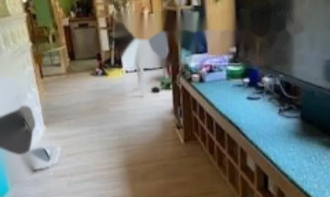 Недвижимость Квартира, 4 комнаты, Роштна Долина: 2