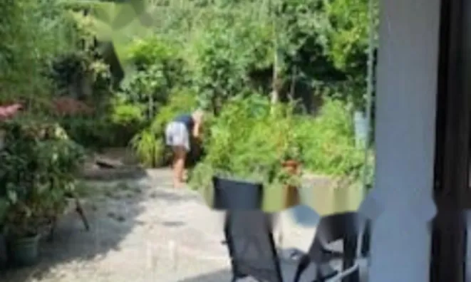 Недвижимость Квартира, 4 комнаты, Роштна Долина: 4