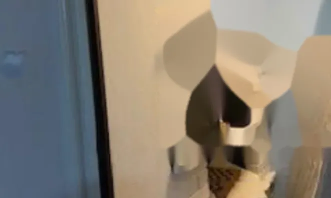 Недвижимость Квартира, 4 комнаты, Роштна Долина: 15