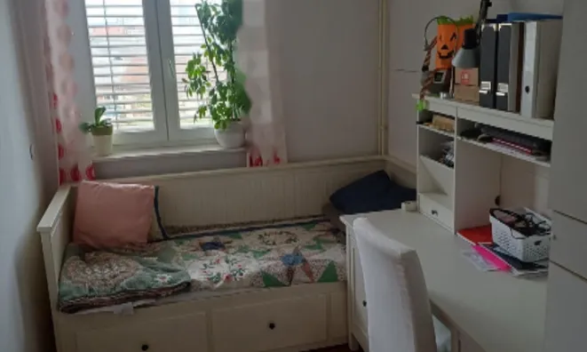 Недвижимость Трёхкомнатная квартира Шишка: 5