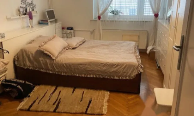 Недвижимость Трёхкомнатная квартира Шишка: 9