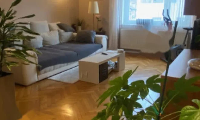 Недвижимость Трёхкомнатная квартира Шишка: 10