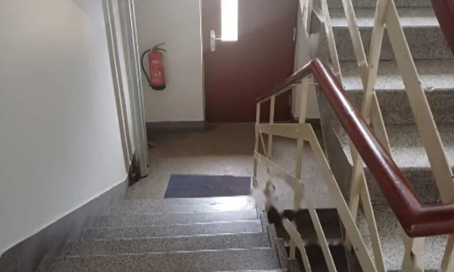 Недвижимость Трёхкомнатная квартира Шишка: 15