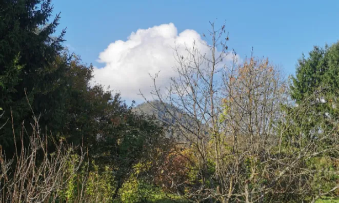 Недвижимость Дом, Верхние Гамельне: 13