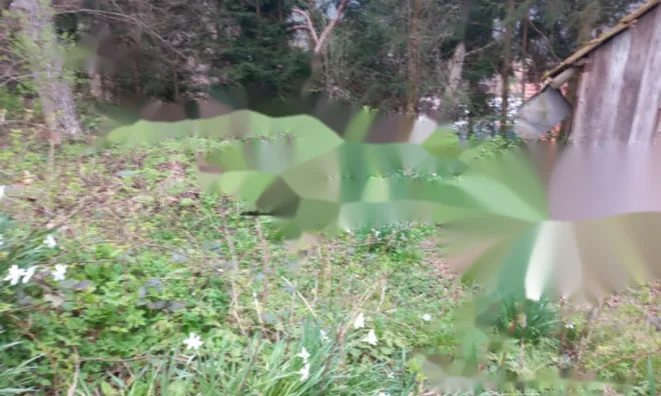 Недвижимость Земельный участок в районе Рудник: 2