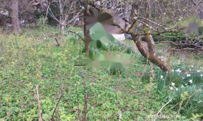 Недвижимость Земельный участок в районе Рудник: 3