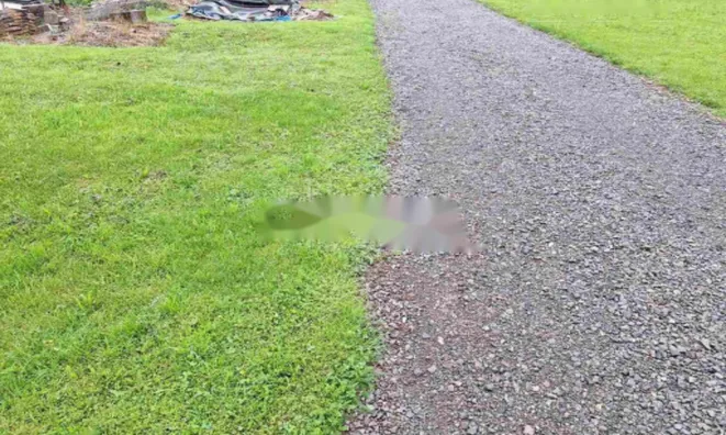 Недвижимость Участок, строящийся, Тихое место, Кашель: 2