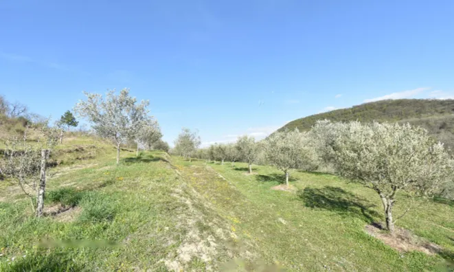 Недвижимость Двухэтажный дом Долина Драгонье: 24