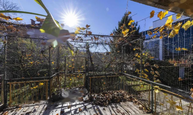 Недвижимость Дом, Любляна, Бежиград: 4