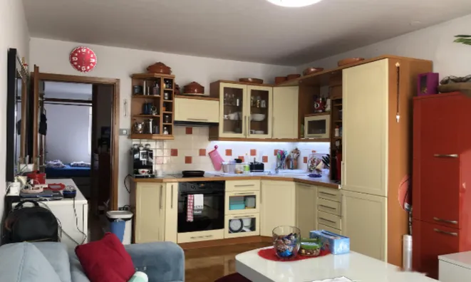 Недвижимость Квартира 1,5 комнаты Шентвид: 8