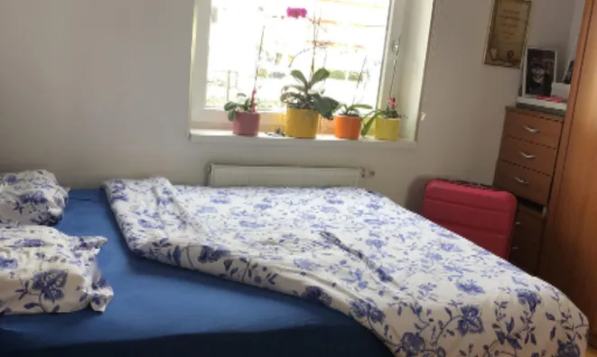 Недвижимость Квартира 1,5 комнаты Шентвид: 13