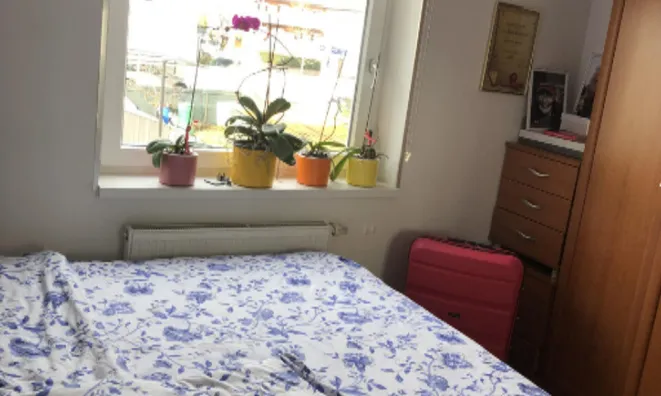 Недвижимость Квартира 1,5 комнаты Шентвид: 15