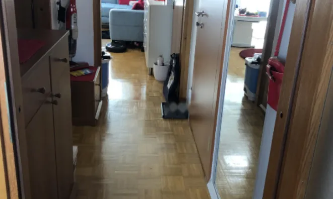 Недвижимость Квартира 1,5 комнаты Шентвид: 16