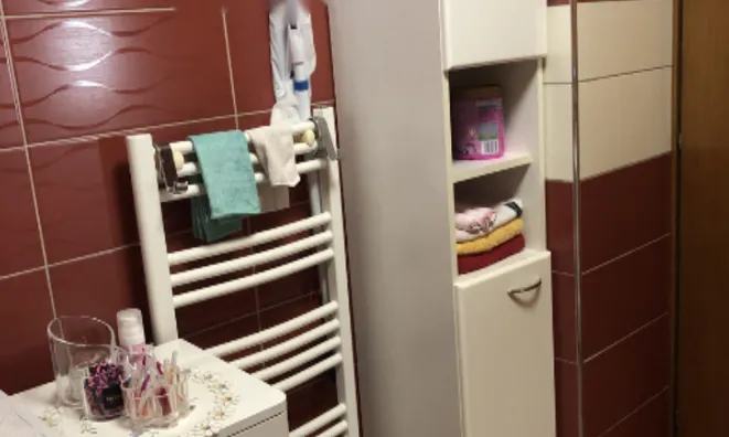 Недвижимость Квартира 1,5 комнаты Шентвид: 17