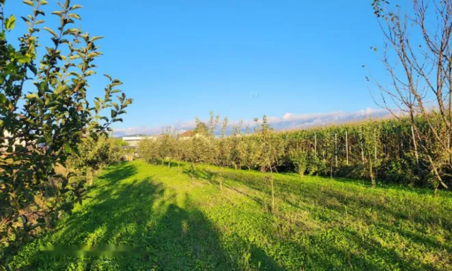 Недвижимость Дом, Любляна, Подгорица: 6