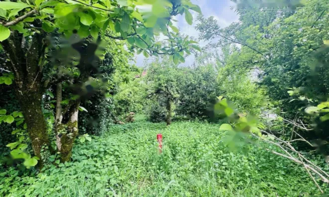 Недвижимость Дом, Любляна Центр, Рожна Долина: 3