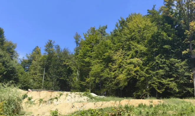 Недвижимость Дом Близ Лесной Завесы: 2