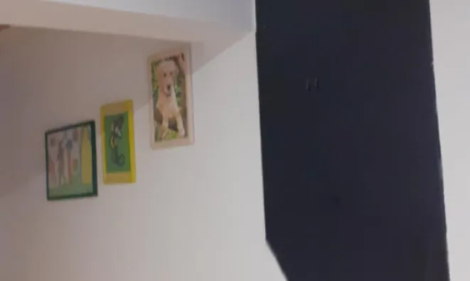 Недвижимость Трёхкомнатная квартира в центре: 18