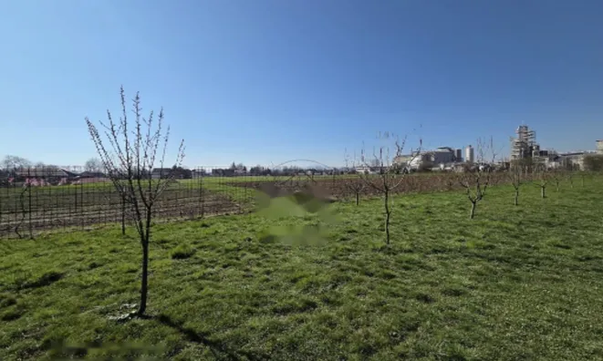 Недвижимость Дом, Подгорица: 6