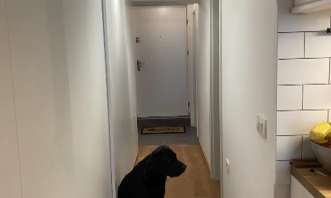 Недвижимость Трёхкомнатная квартира в Рожной Долине: 18