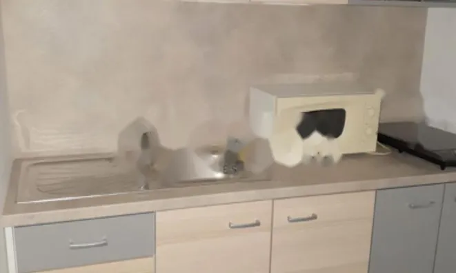 Недвижимость Дом, Любляна, Мосте: 2