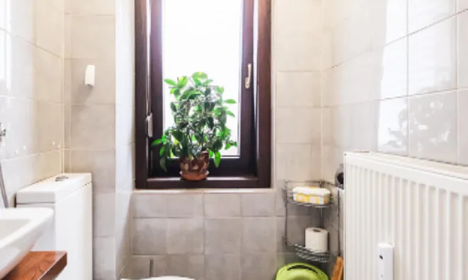 Недвижимость Четырехкомнатная Квартира Центр: 13