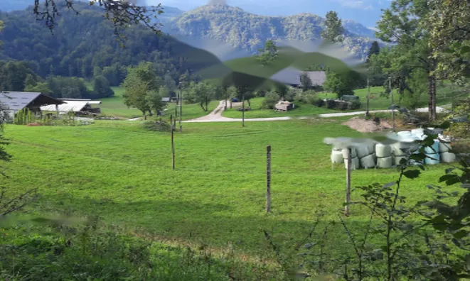 Недвижимость Участок, Сельскохозяйственные земли Купльеник: 2