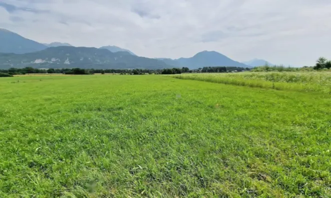 Недвижимость Земельный участок, застройка Лесце.: 2