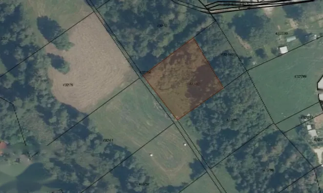 Недвижимость Участок сельскохозяйственной земли Лесе.: 1