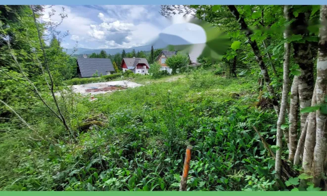 Недвижимость Земельный участок, Поле, Застроенный участок: 5